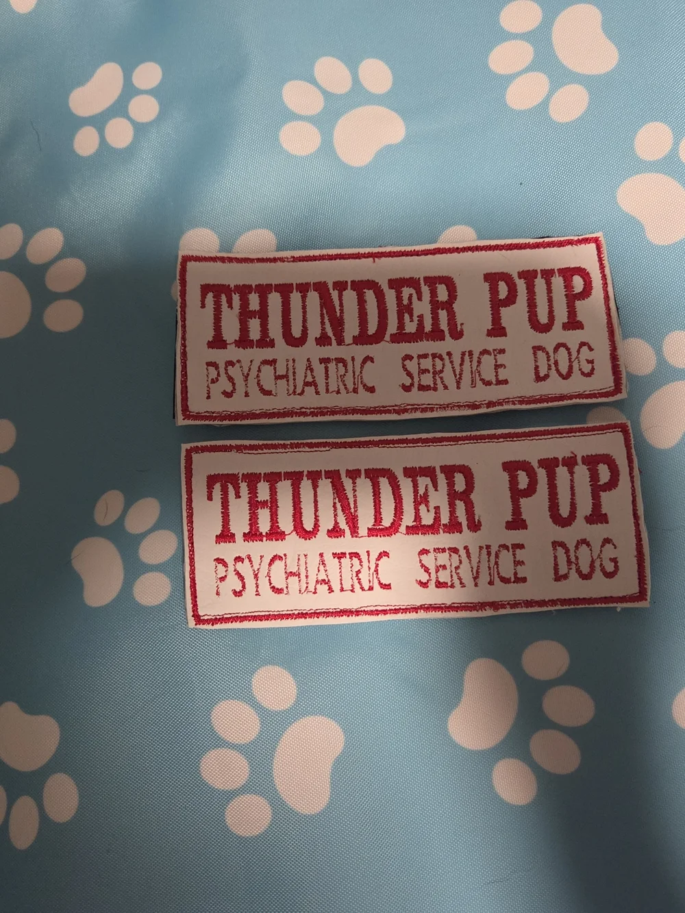 Thunder Pup Psychiatric Service Dog Vest - Rainbow Marble